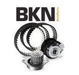 BKN BK1706330 - DIR.A.RENAULT CLIO II TRW