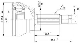 BKN 607095 - Junta Homocinética