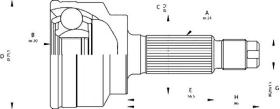 BKN 607263 - Junta Homocinética