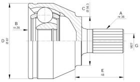 BKN 607511 - Junta Homocinética