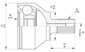 BKN 607564 - Junta Homocinética