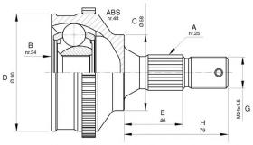 BKN 607572 - Junta Homocinética