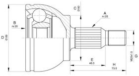 BKN 607592 - Junta Homocinética