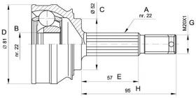 LOBRO 607008 - Junta Homocinética