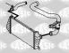 Sasic 3336089 - TUBO FLEXIBLE DE AIRE DE SOBREALIMENTACION