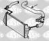 Sasic 3336091 - TUBO FLEXIBLE DE AIRE DE SOBREALIMENTACION
